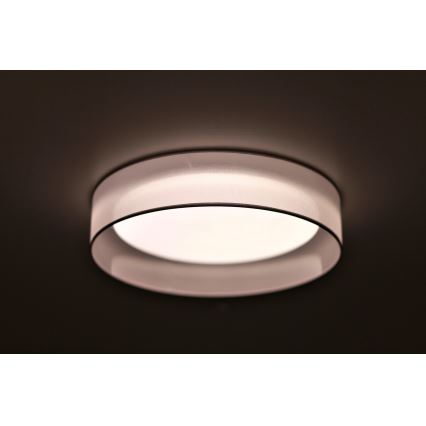 Duolla - LED Stropné svietidlo ROLLER LED/24W/230V svetlo pr. 45 cm šedá