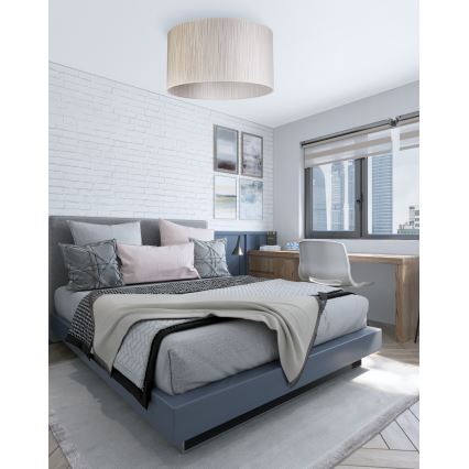 Duolla - Stropné svietidlo ESSEX 1xE27/40W/230V pr. 45 cm strieborná