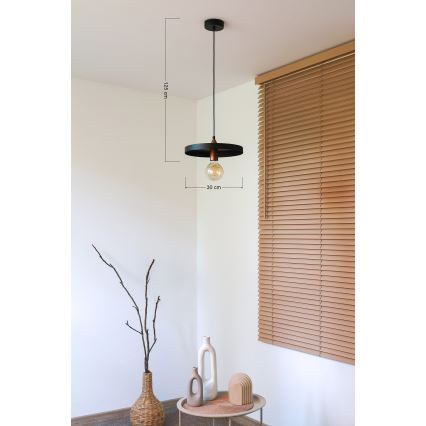 Duolla - Závesné svietidlo IRONLINE na lanku 1xE27/15W/230V, Ø 30 cm, čierna/medená