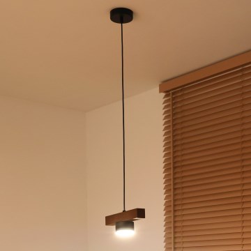 Duolla - Závesný luster na lanku IRONLINE 1xGX53/3W/230V borovica dub/čierna