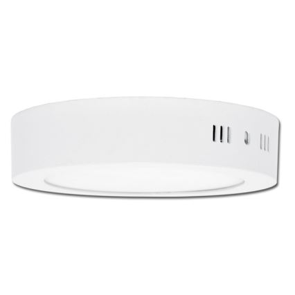 LED Stropné svietidlo LADA LED/25W/230V 3000/4000/6000K pr. 30 cm biela