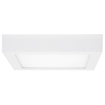 LED Stropné svietidlo RAFA LED/12W/230V 3000/4000/6000K 17x17 cm biela