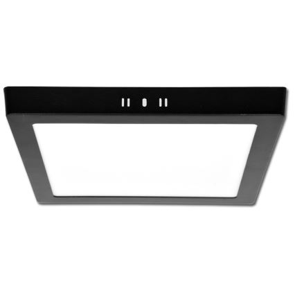 LED Stropné svietidlo RAFA LED/12W/230V 3000/4000/6000K 17x17 cm čierna
