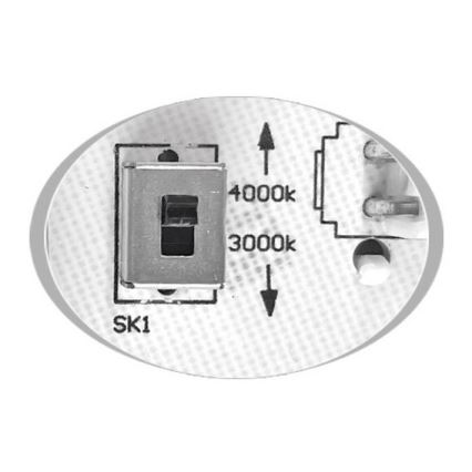 LED Vonkajšie stropné svietidlo MARTIN LED/15W/230V 3000/4000K pr. 30 cm IP65 čierna