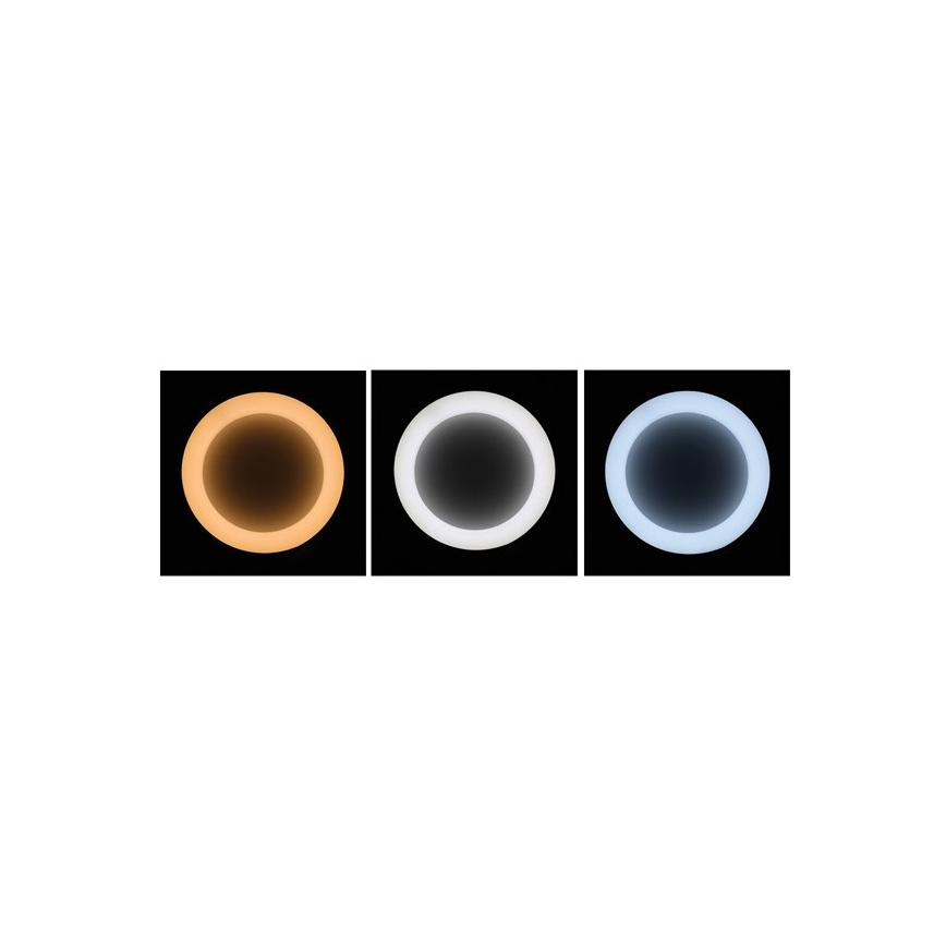 LED Stmievateľný luster na lanku NEST LED/40W/230V 3000-6500K šedá + diaľkové ovládanie