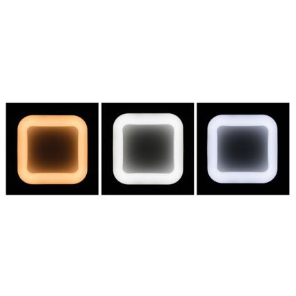 LED Stmievateľný luster na lanku NEST LED/40W/230V 3000-6500K šedá + diaľkové ovládanie