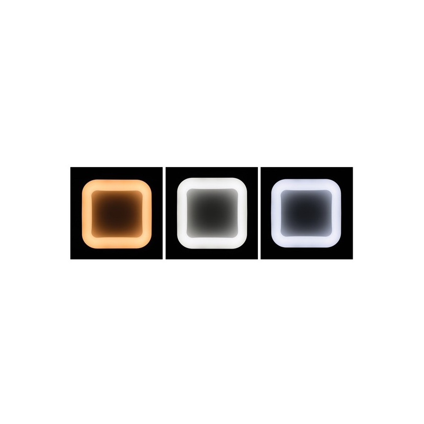 LED Stmievateľný luster na lanku NEST LED/40W/230V 3000-6500K šedá + diaľkové ovládanie