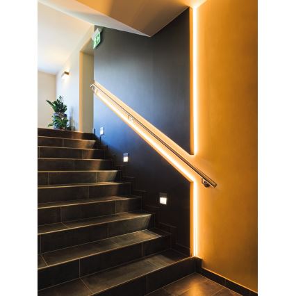 Eglo 31409 - LED RGBW Stmievateľný pásik 5m LED/11W/12/230V 2700-6500K