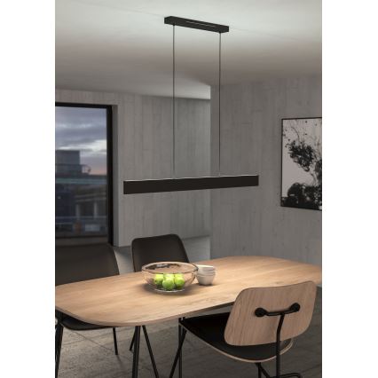 Eglo 31433 - LED RGBW Stmievateľný luster na lanku ANDREAS-Z LED/38W/230V 2700-6500K čierna
