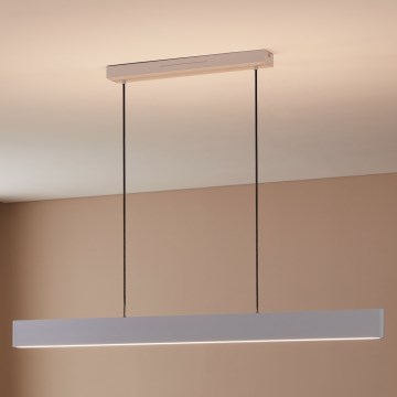Eglo 31436 - LED RGBW Stmievateľný luster na lanku ANDREAS-Z LED/38W/230V 2700-6500K biela