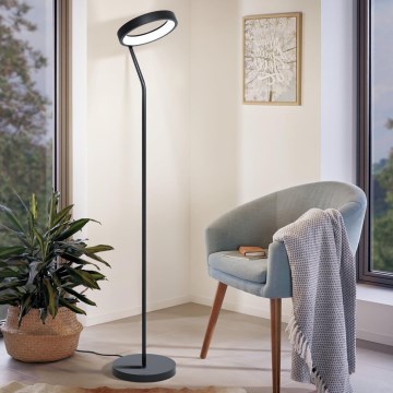 Eglo 32327 - LED RGBW stmievateľná stojacia lampa MARGHERA-C LED/15,5W/230V 2700-6500K čierna