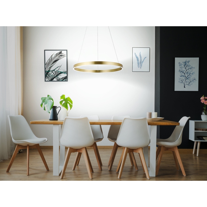 Eglo 33484 - LED luster na lanku ALCAZABA 2xLED/18W/230V 3000K pr. 55 cm zlatý
