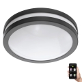 Eglo 33571 - LED Stmievateľné kúpeľňové svietidlo LOCANA-C LED/14W/230V IP44 čierna