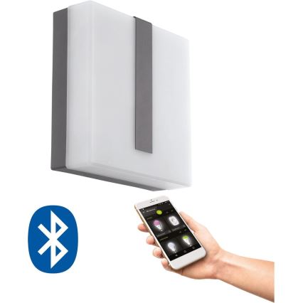 Eglo 33574 - LED Stmievateľné vonkajšie nástenné svietidlo TORAZZA-C LED/14W/230V IP44