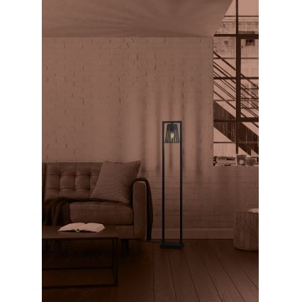 Eglo - Stojacia lampa 1xE27/40W/230V čierna