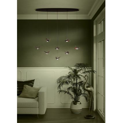 Eglo - LED Stmievateľný luster na lanku 8xLED/4,2W/230V 3000K čierna