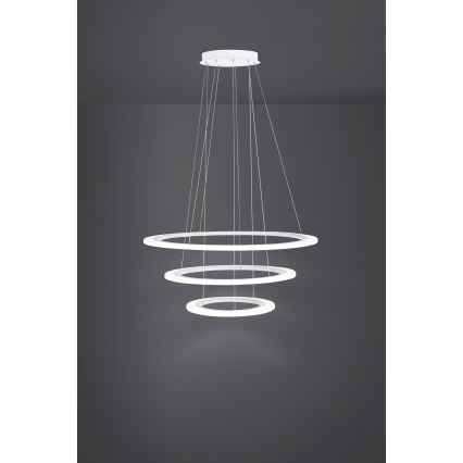 Eglo - LED Stmievateľný luster na lanku 1xLED/45W/230V + 1xLED/33W + 1xLED/19,5W