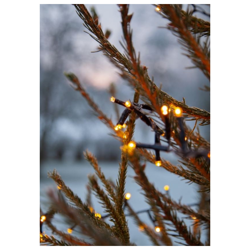 Eglo - LED vonkajší reťaz 1200xLED 29m IP44 teplá biela