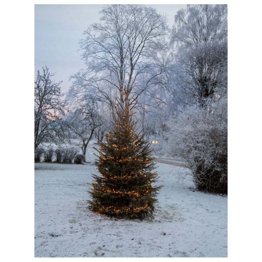 Eglo - LED vonkajší reťaz 1200xLED 29m IP44 teplá biela