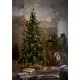 Eglo - LED Vianočný stromček 270xLED/0,064W/30/230V IP44