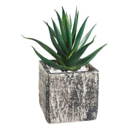 Eglo - Umelá rastlina v kvetináči 13x9,5 cm sukulent