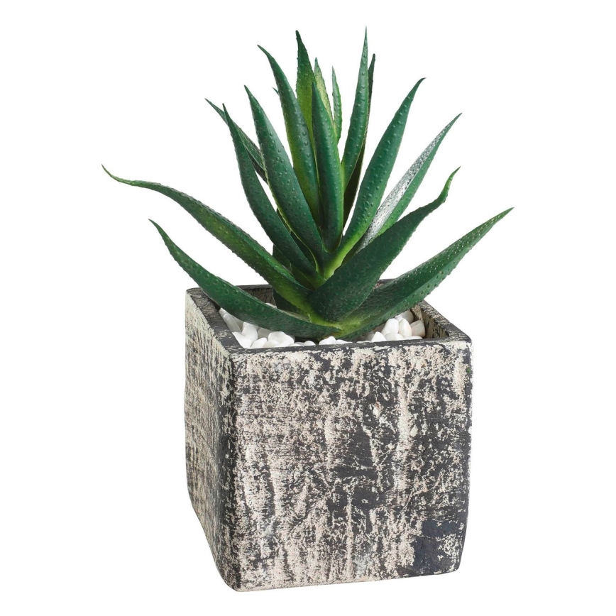 Eglo - Umelá rastlina v kvetináči 13x9,5 cm sukulent