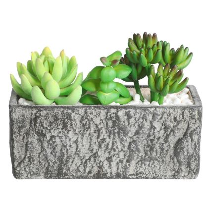 Eglo - Umelá rastlina v kvetináči 14,5x17,8 cm sukulent