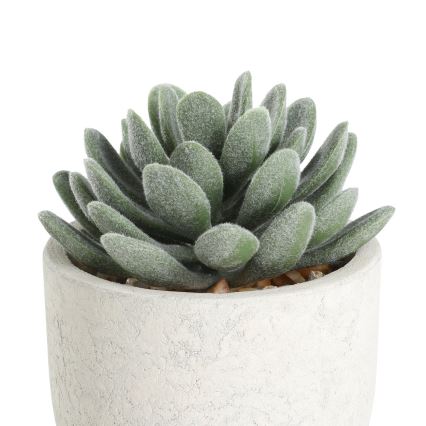 Eglo - Umelá rastlina v kvetináči 11x8 cm sukulent