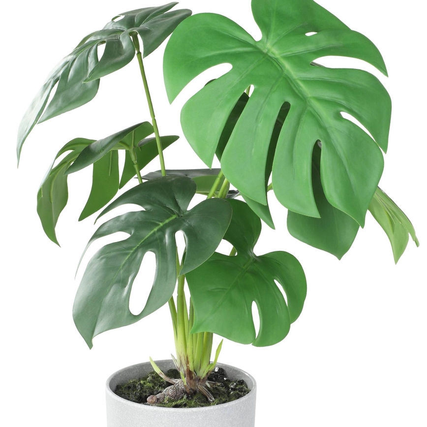 Eglo - Umelá rastlina v kvetináči 42x30 cm monstera