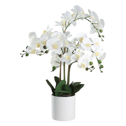 Eglo - Umelá rastlina v kvetináči 65x50 cm orchidea