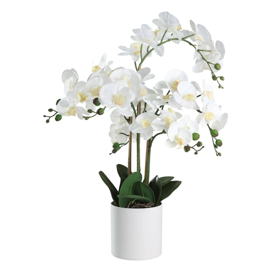 Eglo - Umelá rastlina v kvetináči 65x50 cm orchidea