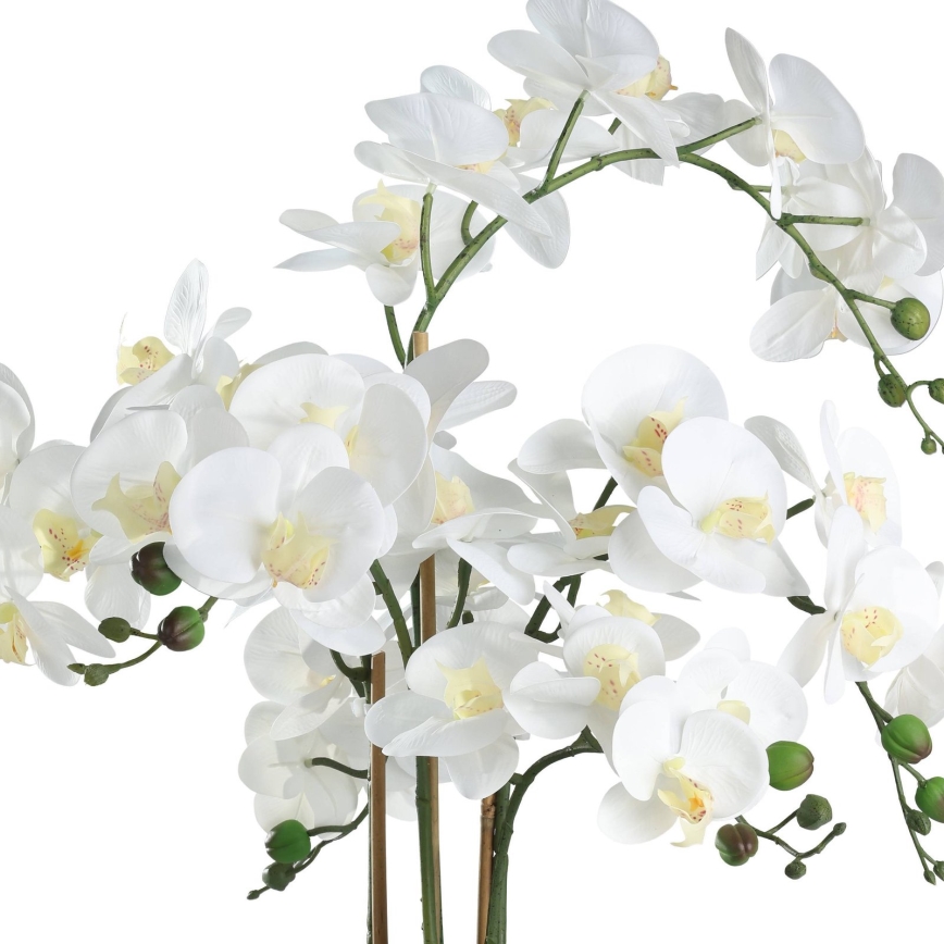 Eglo - Umelá rastlina v kvetináči 65x50 cm orchidea
