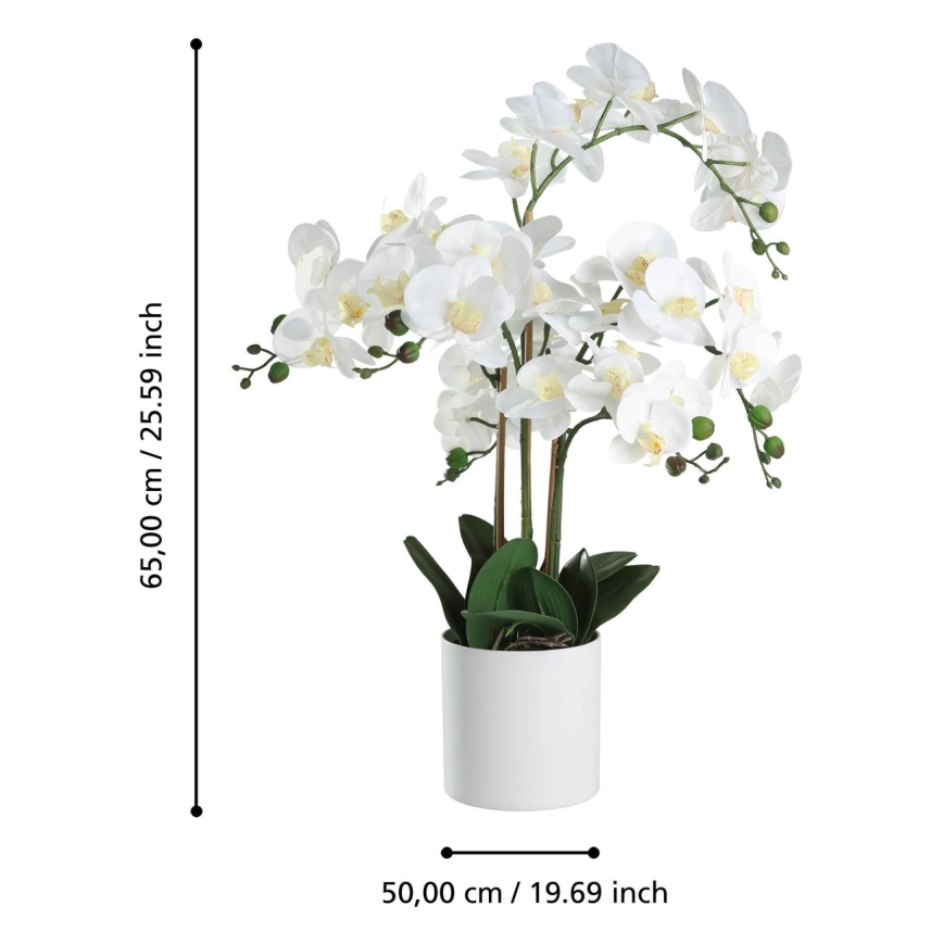 Eglo - Umelá rastlina v kvetináči 65x50 cm orchidea