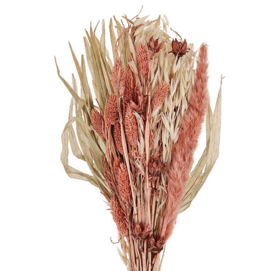 Eglo - Sušený kvet 60 cm oranžová