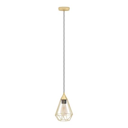 Eglo - Luster na lanku 1xE27/60W/230V pr. 17,5 cm