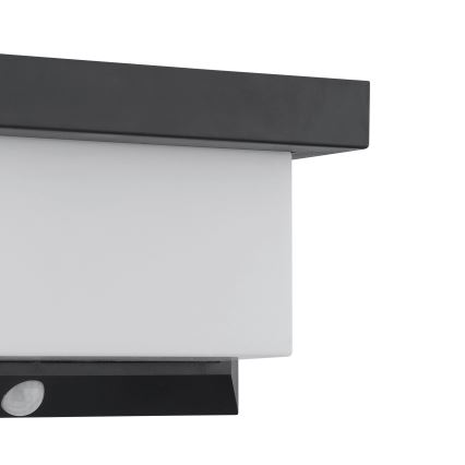 Eglo - LED Solárne nástenné svietidlo so senzorom LED/3,84W/3,7V 2000 mAh IP44