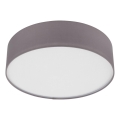 Eglo 55027 - LED Stropné svietidlo 1xE27/11W/230V 3000K