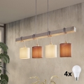Eglo 55206 - LED luster na lanku TOWNSHEND 4xE27/60W/230V