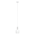 Eglo 62265 - Luster na lanku PASCOA PRO 1xE27/60W/230V 15,6 cm biela