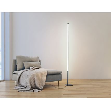 Eglo - LED Stmievateľná stojacia lampa LED/14W/230V 2700-6500K + diaľkové ovládanie