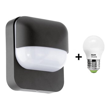 Eglo 78595 - LED Vonkajšie nástenné svietidlo RECCO 1xE27/6W/230V 3000K Eglo 78595 - LED Vonkajšie nástenné svietidlo RECCO 1xE27/6W/230V 3000K