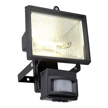 EGLO 88813 - Vonkajší reflektor ALEGA 1xR7s/400W IP44
