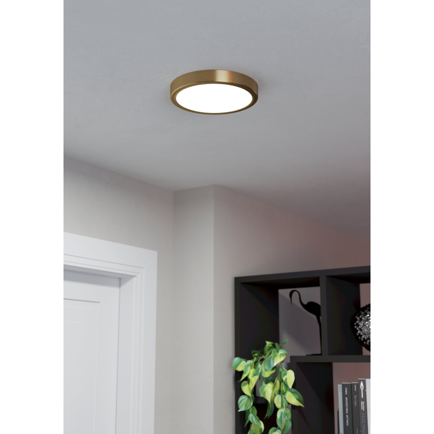 Eglo - LED Stropné svietidlo LED/17W/230V pr. 21 cm