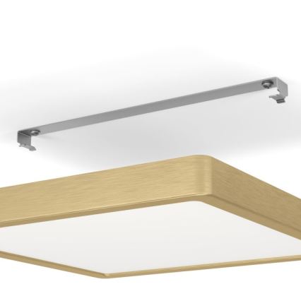 Eglo - LED Stropné svietidlo LED/20,5W/230V