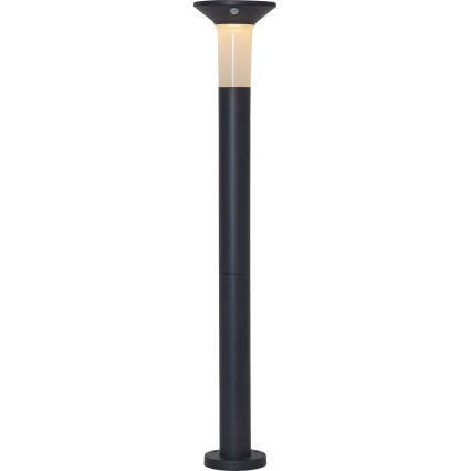 Eglo - LED Vonkajšia solárna lampa so senzorom 6xLED/0,03W/3,7V 1500 mAh IP44