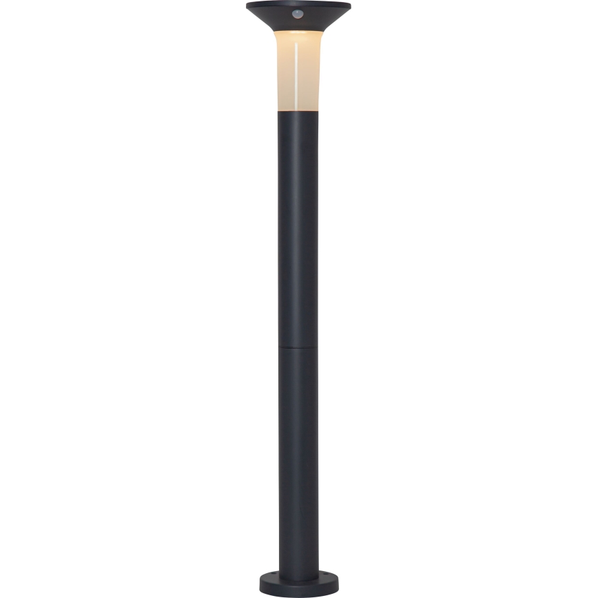 Eglo - LED Vonkajšia solárna lampa so senzorom 6xLED/0,03W/3,7V 1500 mAh IP44