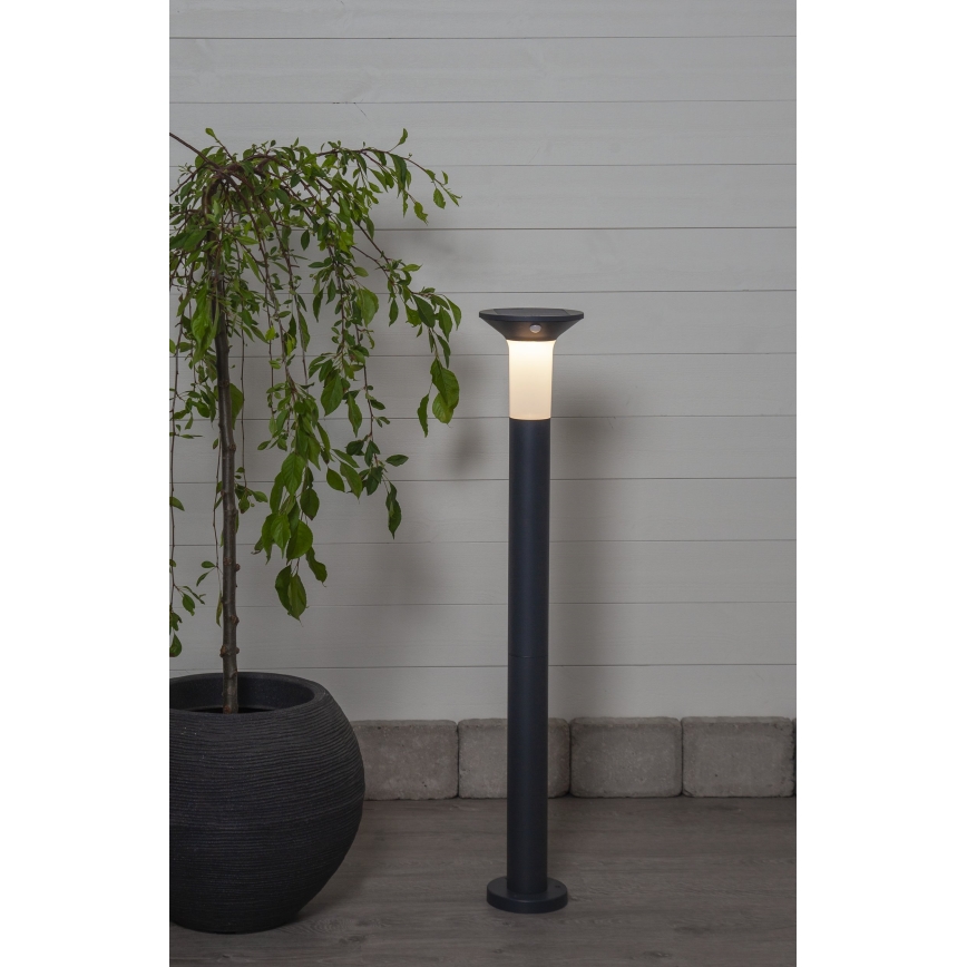 Eglo - LED Vonkajšia solárna lampa so senzorom 6xLED/0,03W/3,7V 1500 mAh IP44