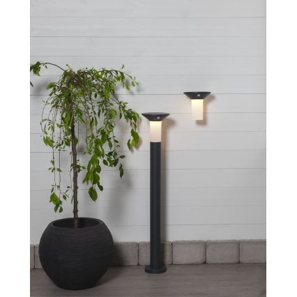 Eglo - LED Vonkajšia solárna lampa so senzorom 6xLED/0,03W/3,7V IP44