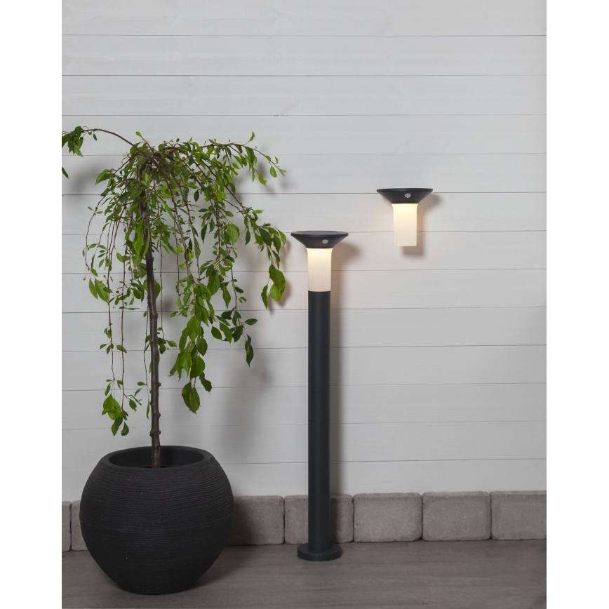 Eglo - LED Vonkajšia solárna lampa so senzorom 6xLED/0,03W/3,7V 1500 mAh IP44