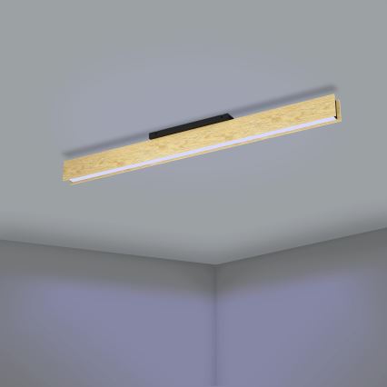 Eglo - LED RGBW Stmievateľné stropné svietidlo LED/35W/230V 2700-6500K
